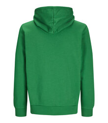 Jack-Jones-Produkt-Blanks_PKTGMS-Blank-Basic-Hood-Sweat_12263902_Jolly-Green_back_5715603393644_002