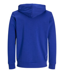 Jack-Jones-Produkt-Blanks_PKTGMS-Blank-Basic-Zip-Hood-Sweat_12263907_Surf-the-Web_back_5715603398960_002