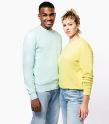 Kariban_Eco-friendly-crew-neck-sweatshirt_K4025-18_2024_ice-mint_lemon-yellow_2x-front-angle
