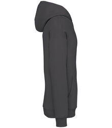 Native-Spirit_Unisex-oversized-hooded-sweatshirt-300gsm_NS408-S_IRONGREY