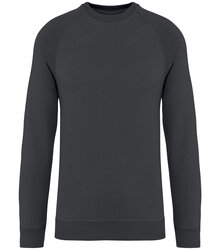 Native-Spirit_Unisex-sweatshirt-with-raglan-sleeves-300gsm_NS423_IRONGREY